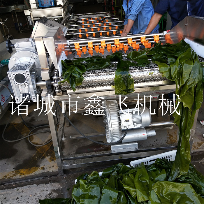 海帶清洗流水線